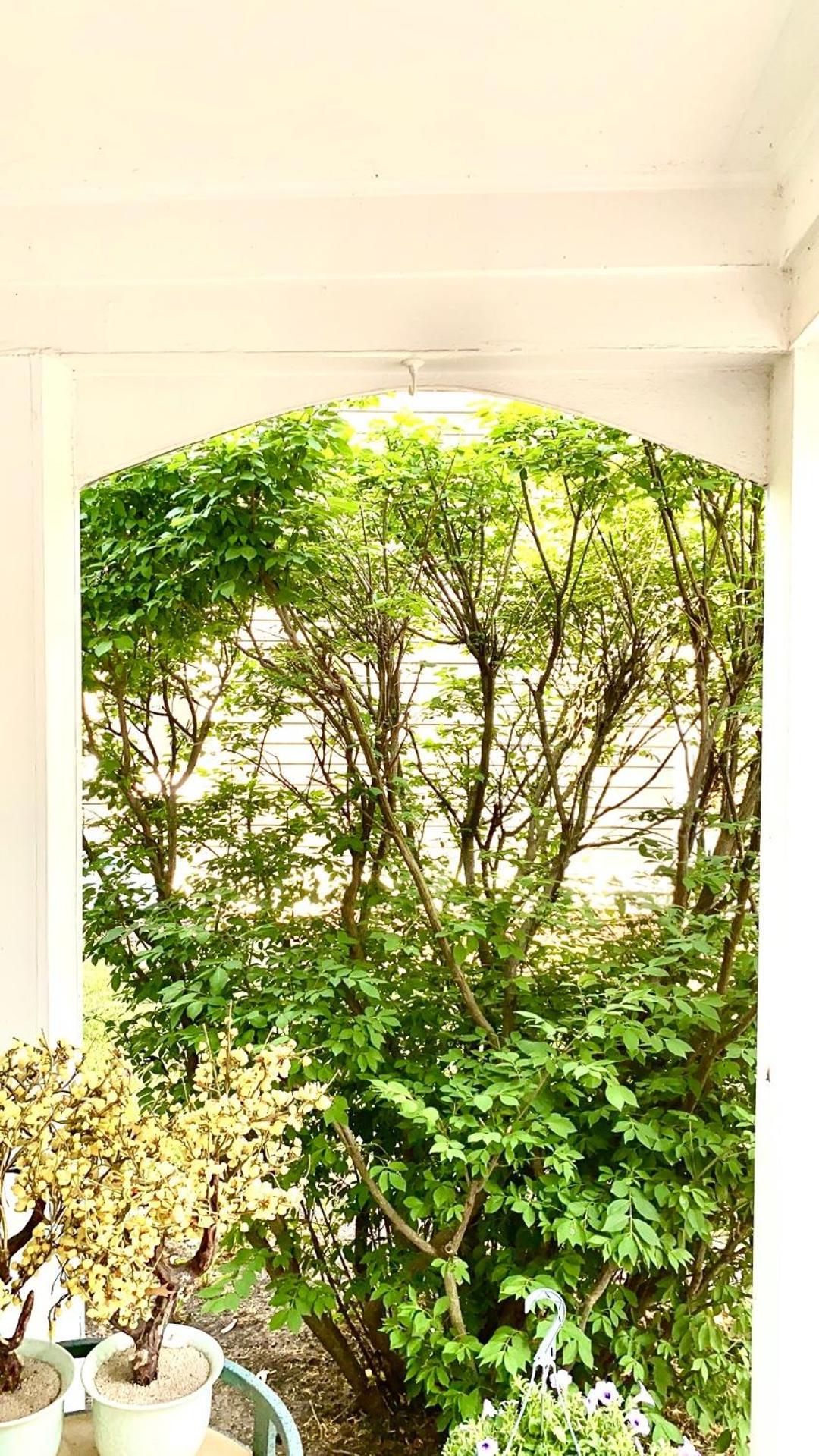 B3 A Private Room In Naperville Downtown With Desk And Wi-Fi Near Everything Esterno foto